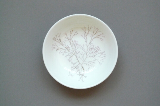 Little bowl 15 × 4cm Ceramium secundatum